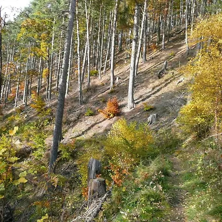 Attraktives Mit Kamin In Waltershausen Σπίτι διακοπών Winterstein